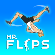 Mr Flip cover