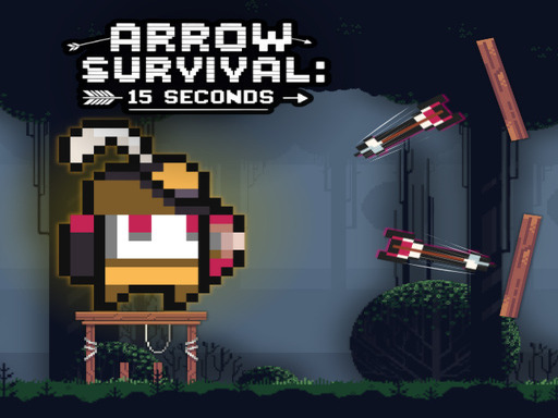 Arrow Survival: 15 Seconds cover